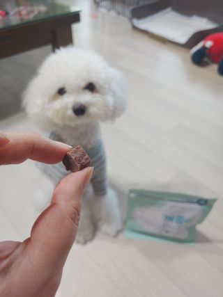 My Pet Care 천연단백질 눈건강에 개좋아 — 5점을 준 리뷰어가 2021년 1월 올린 사용 사진