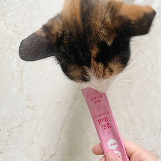 피츄카님이 올린 리뷰 사진 1