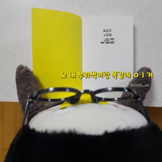 그므시라꼬님님이 올린 리뷰 사진 3