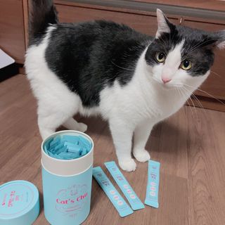 페페로니 잘 먹는 캣츄 - 원양선 참치 24개입 — 5점을 준 리뷰어가 2021년 7월 올린 사용 사진