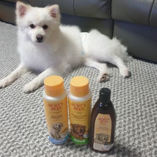 KyungEunMin님이 올린 리뷰 사진 3