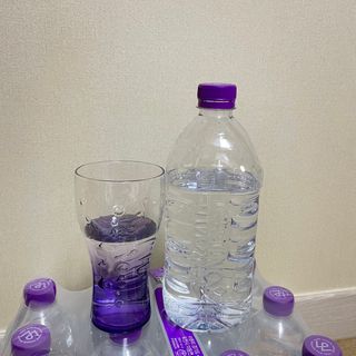 세지니힛님이 올린 리뷰 사진 3