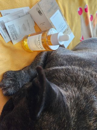 [스킨1004] 마다가스카르 센텔라 앰플 100ml — 5점을 준 리뷰어가 2024년 5월 올린 사용 사진