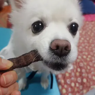 바나나님이 올린 리뷰 사진 2