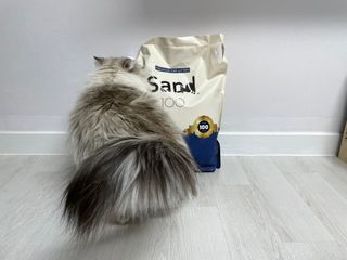 쇼니님이 올린 리뷰 사진 1