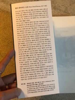 봄봄님이 올린 리뷰 사진 3