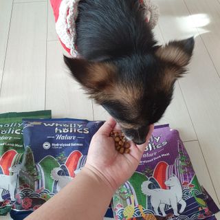 항항항님이 올린 리뷰 사진 4