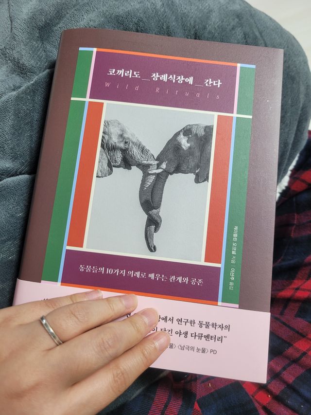 코끼리도 장례식장에 간다 리뷰 사진