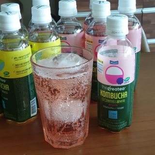 더그레잇티 콤부차 [매일유업] 더그레잇티 44kcal 콤부차 300ml *12개입 (오리지널 6개+베리리치 6개) — 5점을 준 리뷰어가 2023년 7월 올린 사용 사진