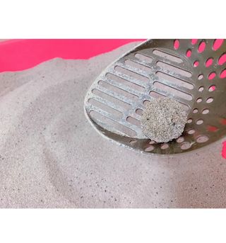 똥비님이 올린 리뷰 사진 3