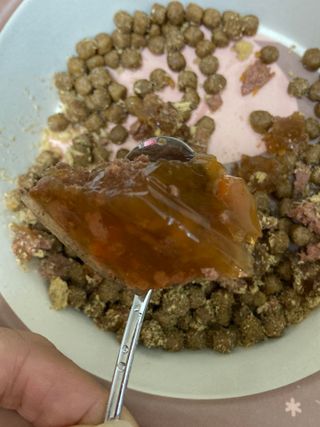 비타크래프트 조에시 하트캔 85g 강아지 습식캔 10캔 — 4점을 준 리뷰어가 2021년 7월 올린 사용 사진