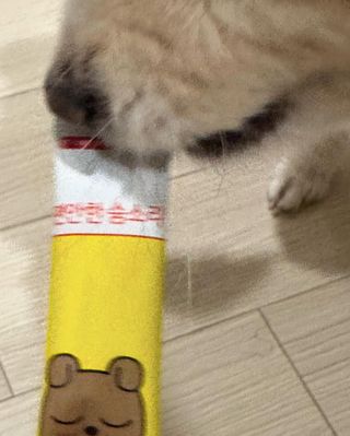 까눌렝님이 올린 리뷰 사진 3