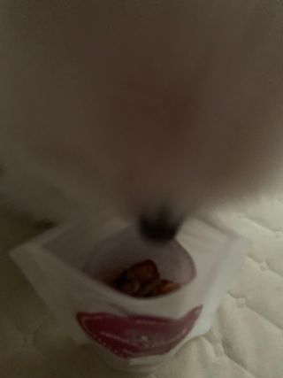 별이빛나길님이 올린 리뷰 사진 2