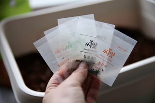 샐리님이 올린 리뷰 사진 2