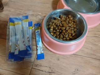 멍순이님이 올린 리뷰 사진 2