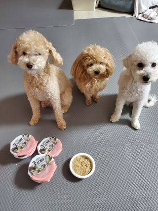 모모맘님이 올린 리뷰 사진 1