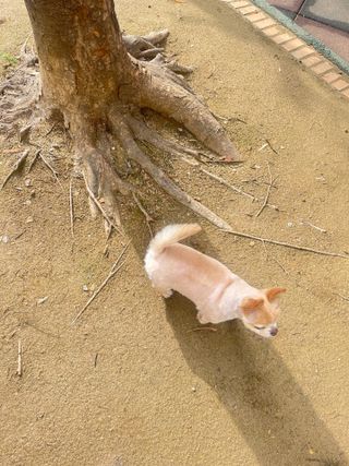 Lucy님이 올린 리뷰 사진 3