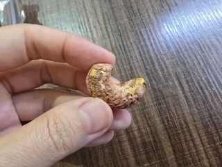 무인도님이 올린 리뷰 사진 1