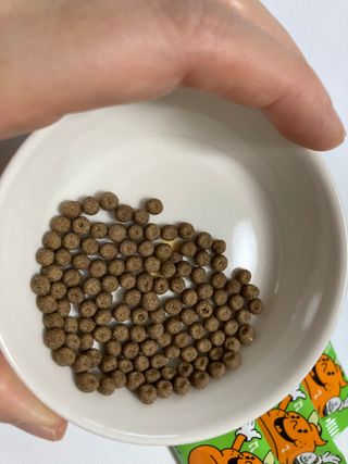 동동라떼님이 올린 리뷰 사진 3