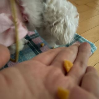 도르도르님이 올린 리뷰 사진 4