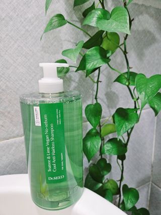 닥터시드 티트리 앤 라임 비건 지성케어 쿨 탈모 샴푸 (1000ml) — 4.5점을 준 리뷰어가 2023년 12월 올린 사용 사진