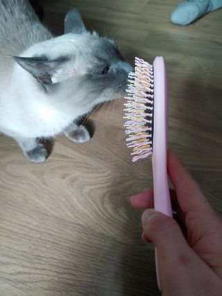 만만이집사님이 올린 리뷰 사진 3