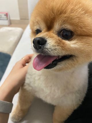 러블리님이 올린 리뷰 사진 4