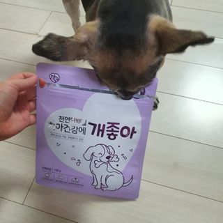 My Pet Care 천연단백질 치아건강에 개좋아 — 5점을 준 리뷰어가 2021년 2월 올린 사용 사진