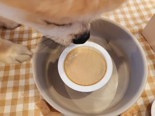 좋아님이 올린 리뷰 사진 4