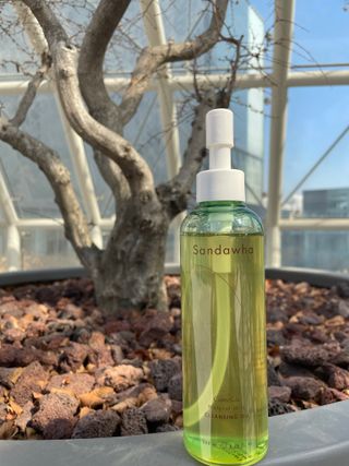 스킨큐어 산다화 순한 클렌징 동백 오일 200ml — 5점을 준 리뷰어가 2023년 3월 올린 사용 사진