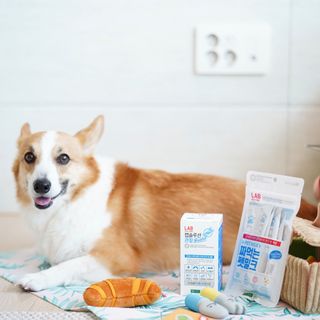 럽쏘이님이 올린 리뷰 사진 1