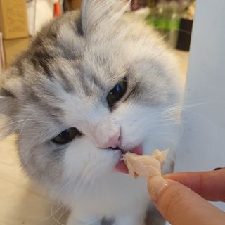 슬뷰님이 올린 리뷰 사진 2