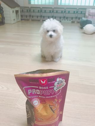 아공별이님이 올린 리뷰 사진 4
