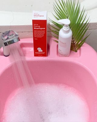 [댕모어 샴푸 2종] 댕샴푸 / 퍼피샴푸  2종 세트 (300ml) — 5점을 준 리뷰어가 2023년 9월 올린 사용 사진