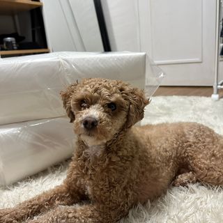 유르딩님이 올린 리뷰 사진 1