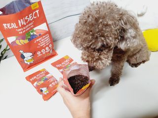 달콤오기님이 올린 리뷰 사진 4