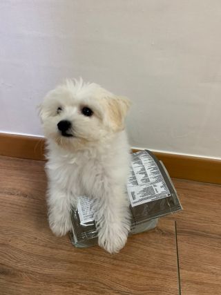 냥냥이님이 올린 리뷰 사진 3