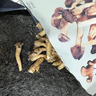딜라이트 프로젝트 바삭한 원물칩 3종 고구마칩, 자색고구마칩, 느타리버섯칩 [총 6봉지] — 5점을 준 리뷰어가 2022년 3월 올린 사용 사진