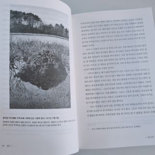 초록누리님이 올린 리뷰 사진 2