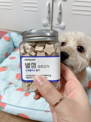 페페로니 자기전에 먹는 저알러지 껌 세트 치킨+오리 — 3점을 준 리뷰어가 2021년 7월 올린 사용 사진