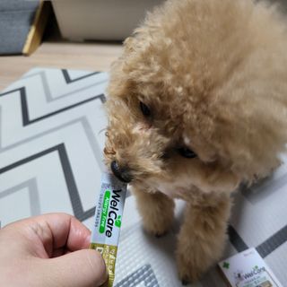 김은혜님이 올린 리뷰 사진 4