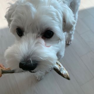 응네님이 올린 리뷰 사진 3