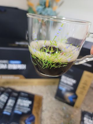 [브이푸드] 옵티MSM 관절케어 (70ml x30포) — 5점을 준 리뷰어가 2022년 6월 올린 사용 사진