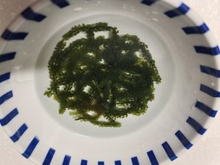 [피터씨마켓] 바다포도 100g(20g x 5봉) 우미부도 그린캐비어 ASMR 소분포장 — 5점을 준 리뷰어가 2024년 8월 올린 사용 사진