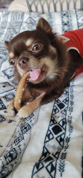 란다김님이 올린 리뷰 사진 1