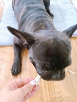 페페로니 클린플러스 덴탈치킨껌 10g x 14p — 5점을 준 리뷰어가 2021년 7월 올린 사용 사진