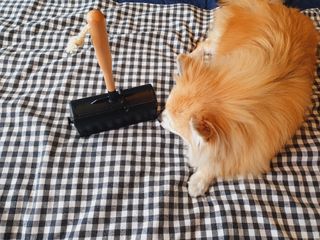 좋아님이 올린 리뷰 사진 4