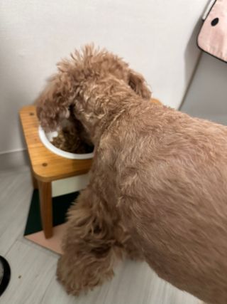 harumom님이 올린 리뷰 사진 3