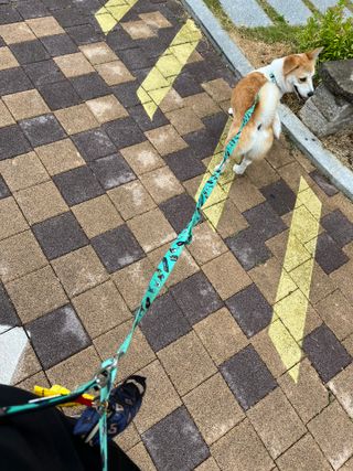 슬이님이 올린 리뷰 사진 2