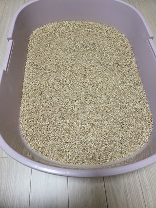 브라우니모래 [브라우니] 고양이 카사바모래 브라우니 천연 응고형 모래  6Lx2개 — 5점을 준 리뷰어가 2023년 11월 올린 사용 사진